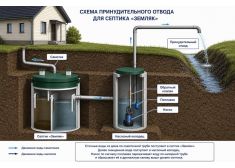 Спарта 1000